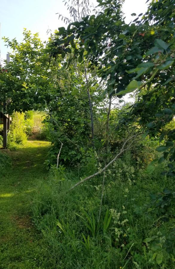 Le Petit Paradis, Mini Maison,Nature,Confort,Calme Saint-Julien-le-Petit Zewnętrze zdjęcie